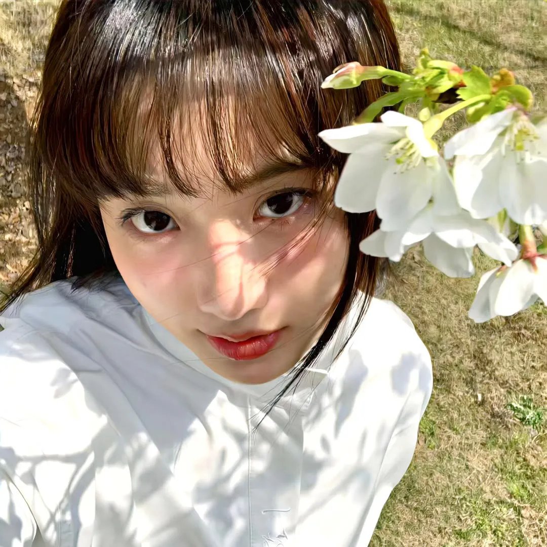 决战燕子门