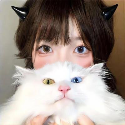双子谜情